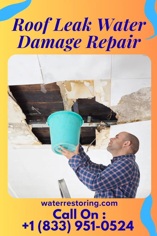 Roof Leak Water Damage Repair in Cartersville, GA
